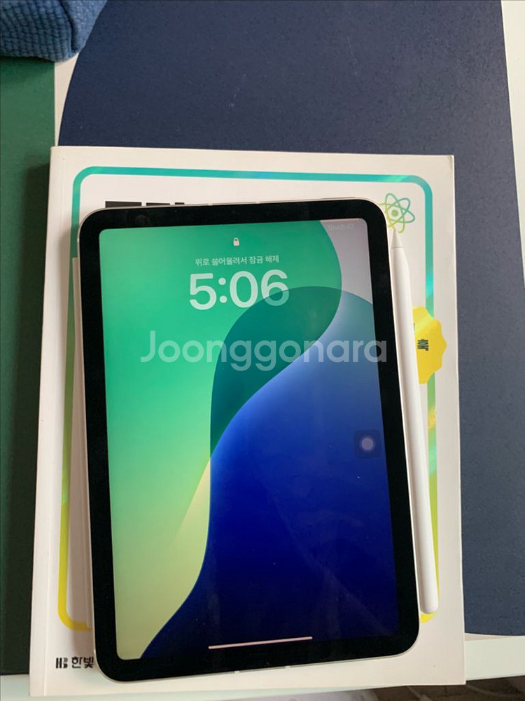 아이패드 미니6 셀룰러 256 에케플--1