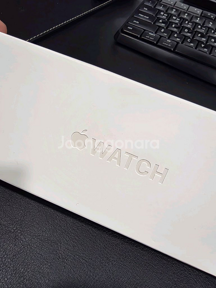 애플워치10 내추럴 티타늄 46mm셀룰러+스트랩3종--6