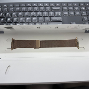 애플 정품 골드 밀레니즈 루프 입니다 44mm