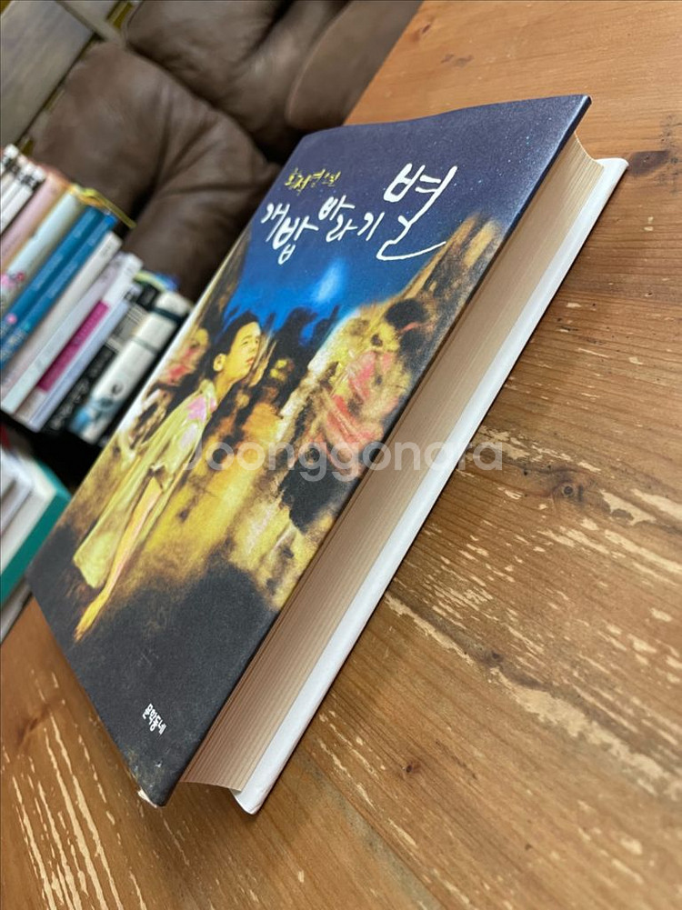 개밥바라기별 - 황석영--3