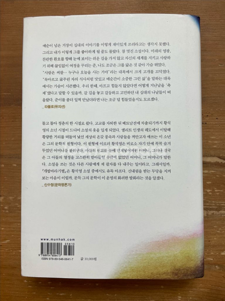 개밥바라기별 - 황석영--1