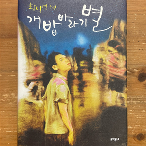 개밥바라기별 - 황석영