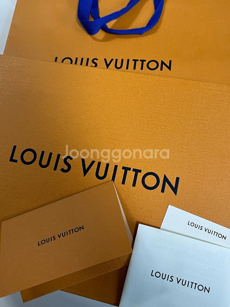 루이비통 소프트 트렁크--1