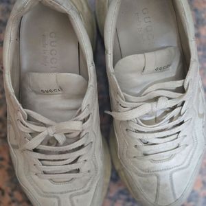 구찌라이톤