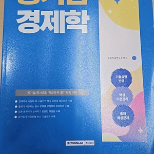 공기업 경제학 수험서