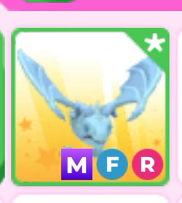 입양하세요 메가얼드 팝니다--0