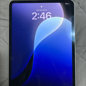 아이패드 프로 11 m4 256 와이파이 단품