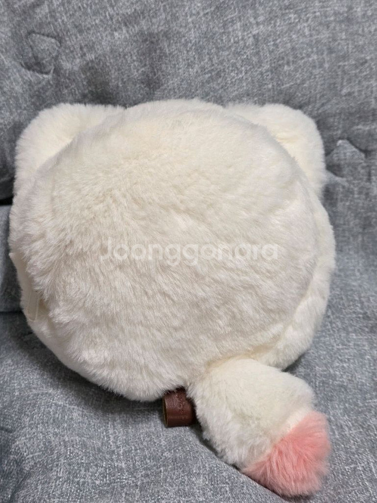베이비쓰리 400% 행운의 고양이--1