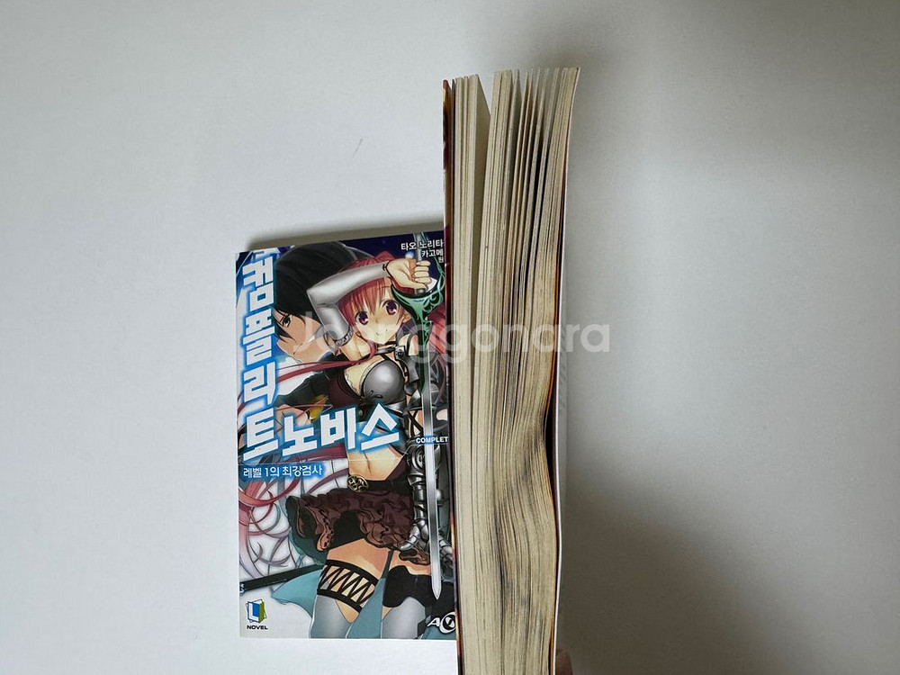 [라노벨] 컴플리트 노비스--1
