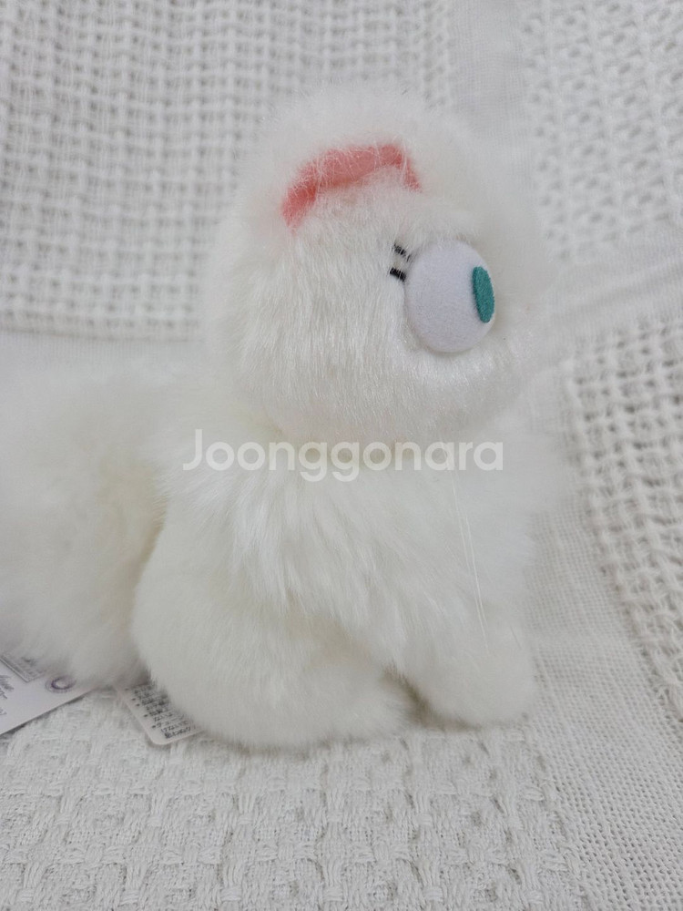 지브리 마녀 배달부 키키 릴리 인형--2