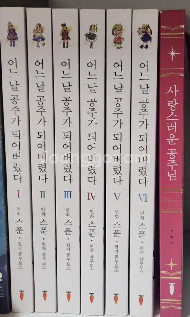 어느 날 공주가 되어버렸다 1권~6권 +다이어리,굿즈들--1