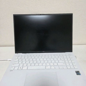 LG 그램 16인치 16Z90R-GA5VK 2TB 추가