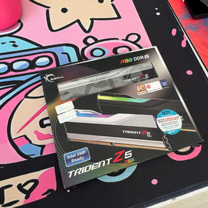 지스킬 ddr5 6400 cl32 96gb 팝니다