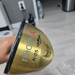 피닉스파크 골프체 K-05
