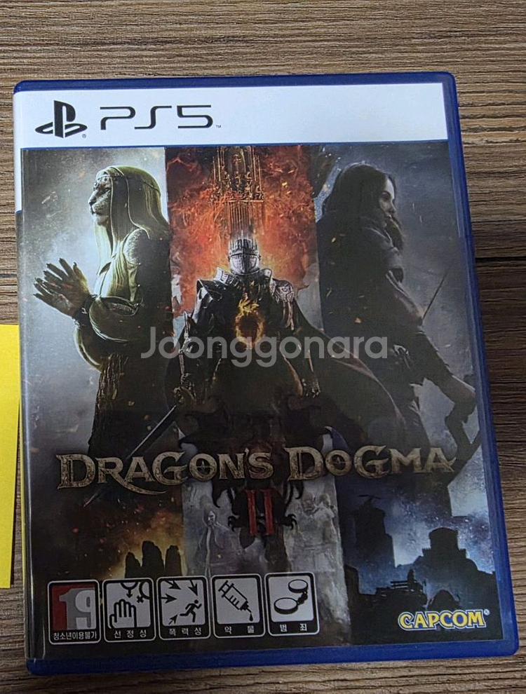 ps5 드래곤즈도그마2--0