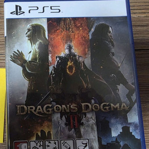 ps5 드래곤즈도그마2