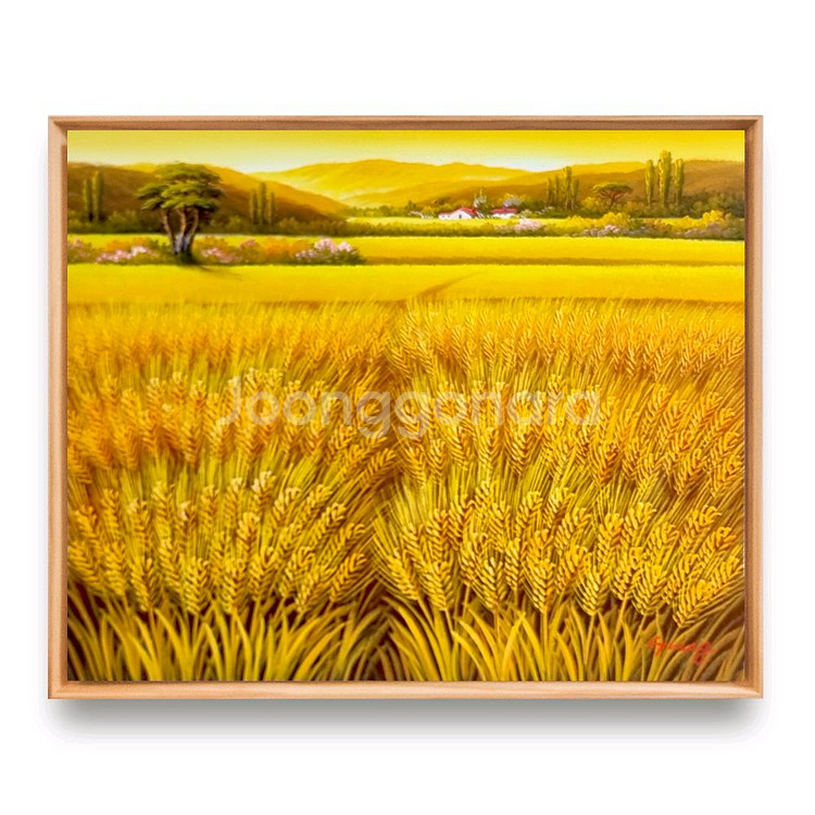 황금보리 유화그림--0