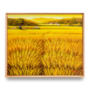 황금보리 유화그림