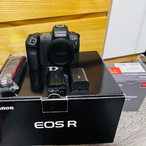 캐논 eos R 바디