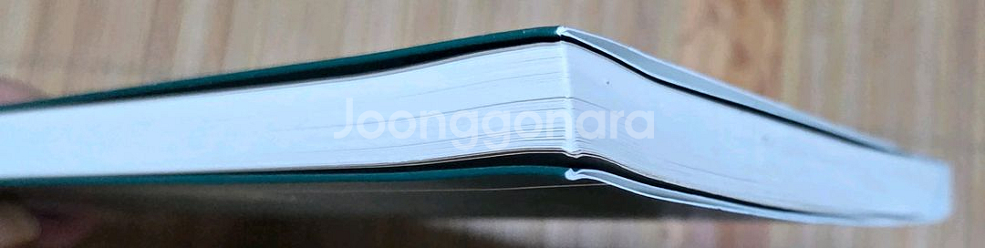 송영희 시집 절반은 사라지고--2