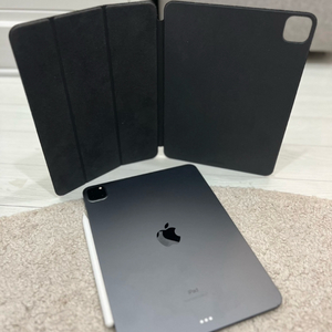 아이패드 프로 11인치 m1 256gb