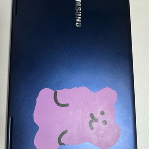 삼성 펜s 노트북 512GB