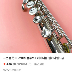 입문용 플룻