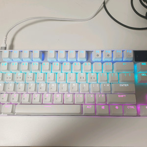 스틸시리즈 APEX PRO GEN3 TKL 화이트
