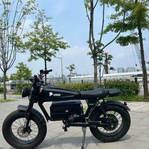 동도s8 1500w 48v 58ah