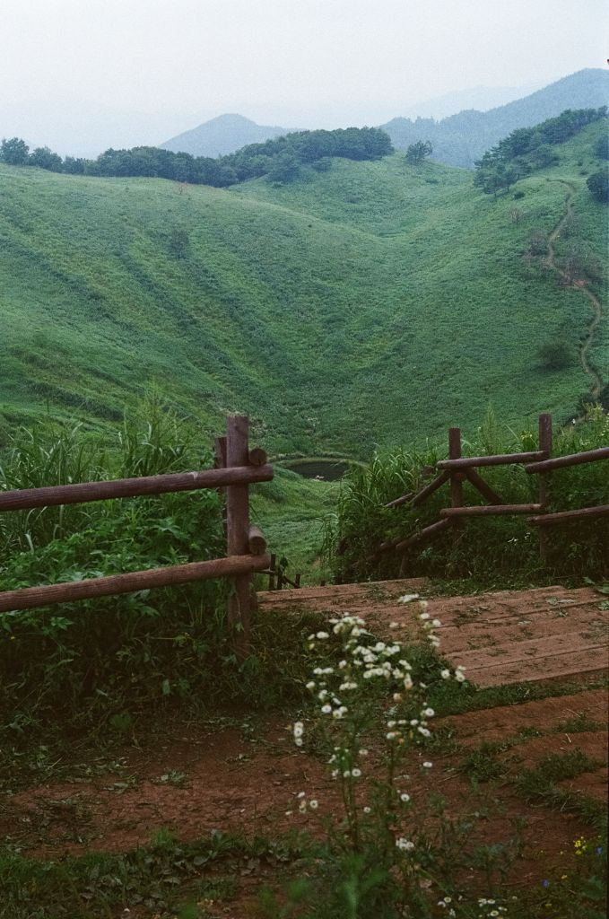 라이카 바르낙iiic 이미지