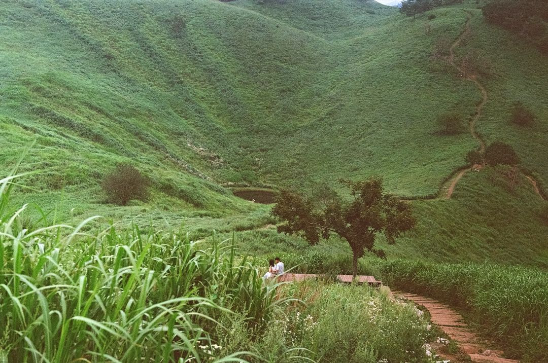 라이카 바르낙iiic 이미지