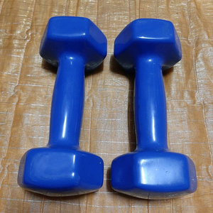 3kg 파란색 육각 아령 / 2개 / 1만 원