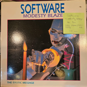 Software.modesty blaze.92.희지.N