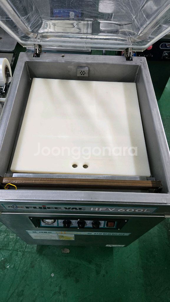 후지진공포장기 600L--2