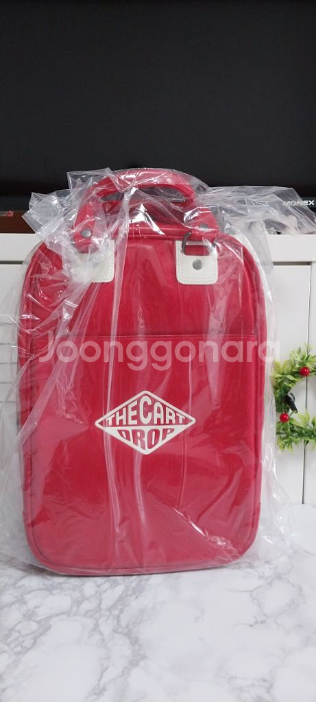 [새상품] DROP RETRO SHOE BAG/슈즈백--3