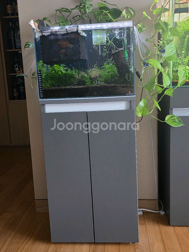 2자 광폭 수조세트 일괄 판매--1