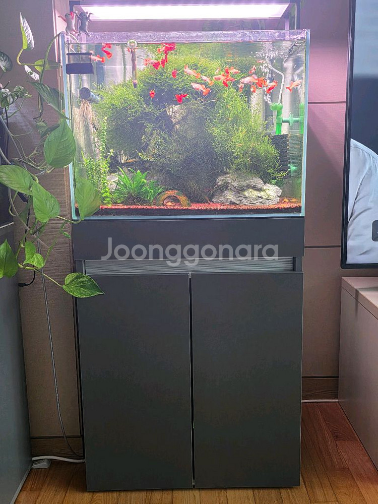 2자 광폭 수조세트 일괄 판매--2