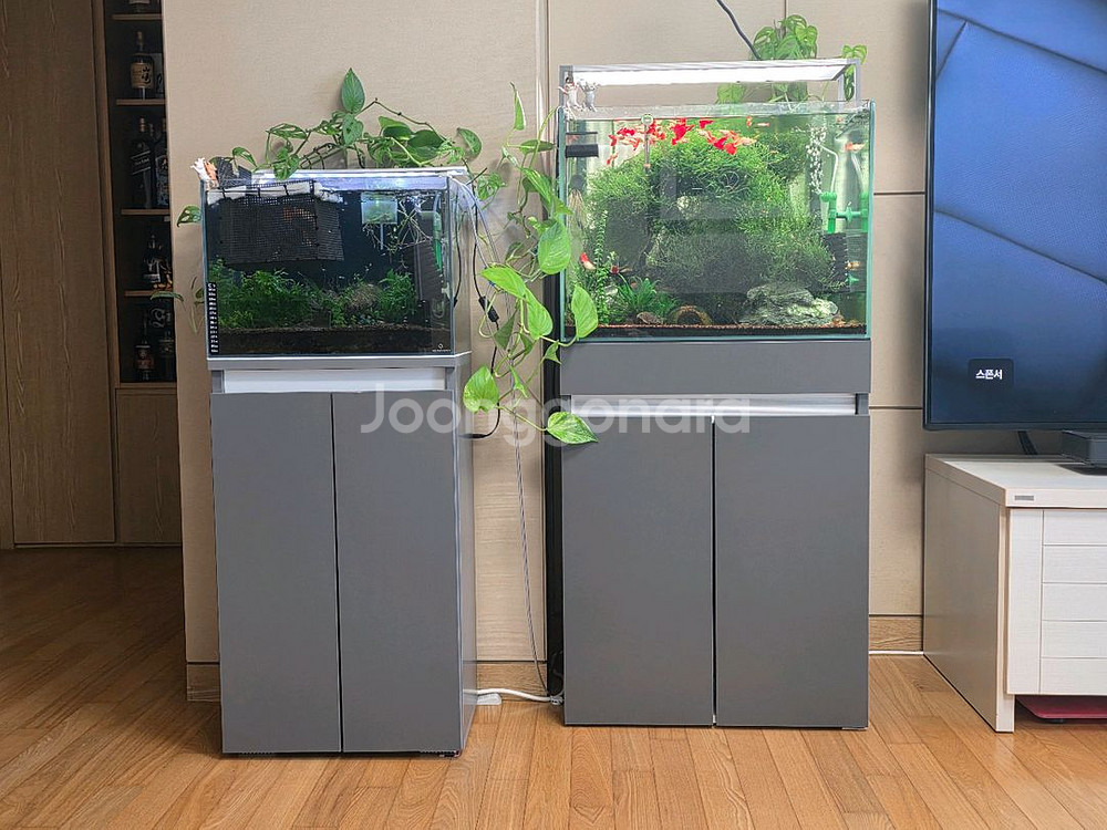 2자 광폭 수조세트 일괄 판매--0