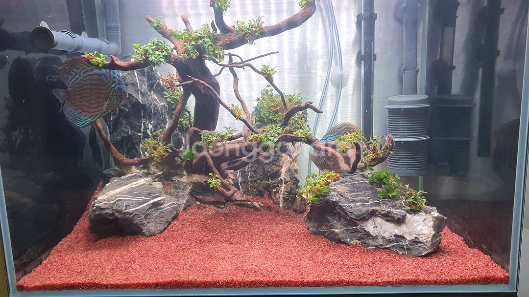 2자 광폭 수조세트 일괄 판매--8