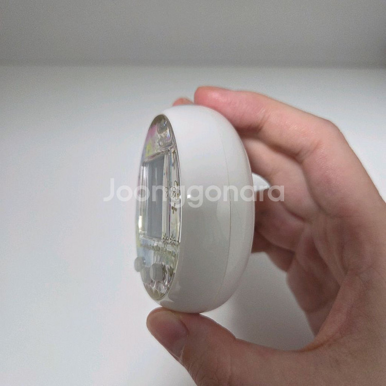 다마고치 미츠 파스텔 화이트--4