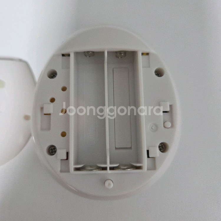 다마고치 미츠 파스텔 화이트--6