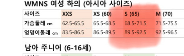 나이키 조던 반바지 여성 우븐 쇼츠 이미지