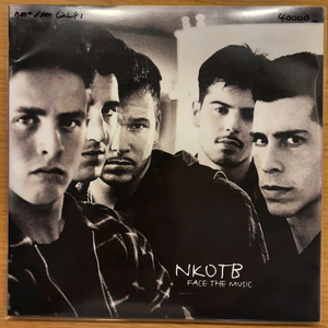 뉴 키즈 온더 블럭 2lp