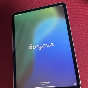 아이패드 프로 11 4세대 128 + 충전기