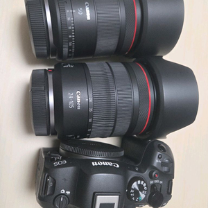 캐논 r6mark2 24105f4L 50.4vcm