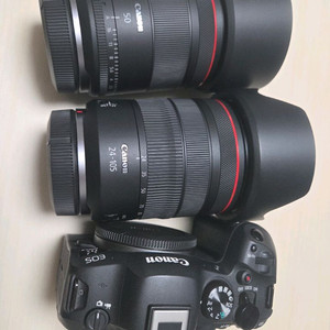 캐논 r6mark2 24105f4L 50.4vcm
