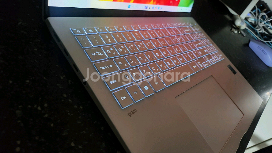 LG 11세대 i7 신형 화이트 그램/16인치--1