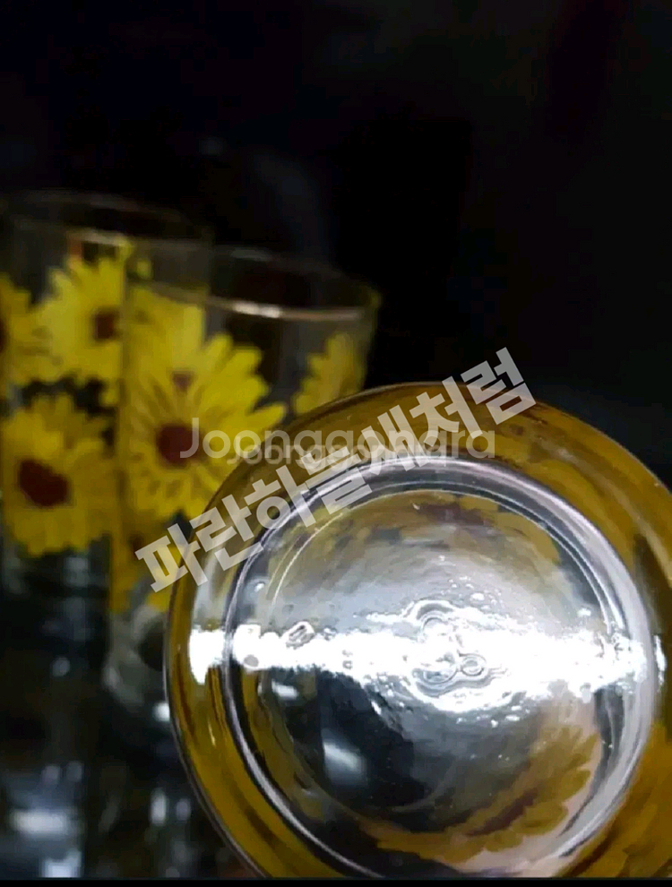 리비글라스USA 데이지 유리컵 개당가--4