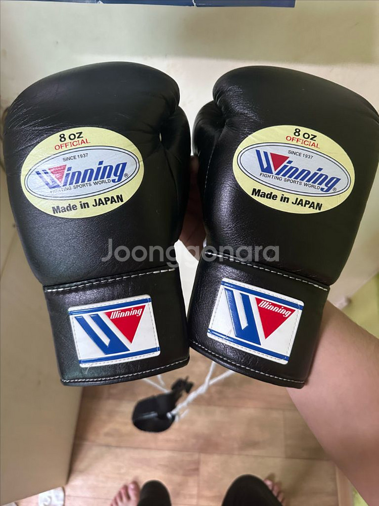 위닝글러브 8온스--0