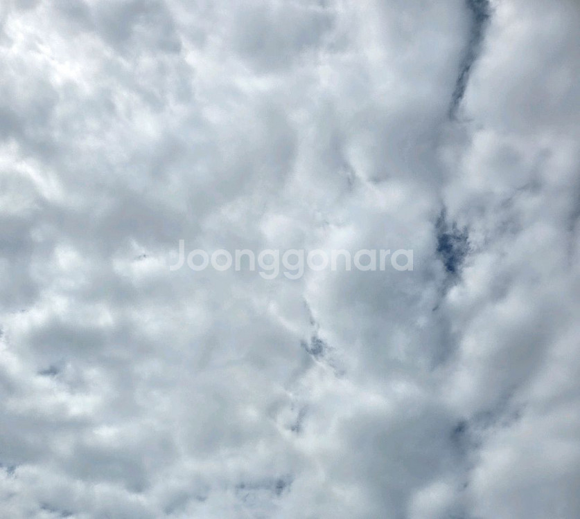 싸움독학,샤크 만화책 전권 삽니다--0